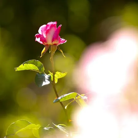 Eternity *